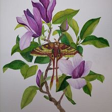 Mi proyecto del curso: Ilustración naturalista con gouache y acuarela. Un proyecto de Bellas Artes, Pintura, Pintura a la acuarela, Ilustración botánica, Ilustración naturalista				 y Pintura gouache de Nuria Ogalla - 21.08.2023