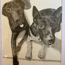 New Friends  9 x 12 Graphite drawing on Arches Watercolor paper. Un progetto di Bozzetti e Disegno a matita di Lisa Edwards - 21.08.2023