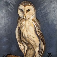 Jessie Brown's project for course: Classical Oil Painting for Naturalist Bird Portraiture. Un projet de Beaux Arts, Peinture, Peinture à l'huile et Illustration naturaliste de Jessie Brown - 22.08.2023