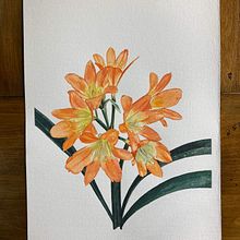 Mi proyecto del curso: Ilustración botánica con acuarela. Projekt z dziedziny Trad, c, jna ilustracja,  Sztuki piękne,  Malarstwo,  R, sunek, Malowanie akwarelą, R i sunek botaniczn użytkownika Héctor Espinosa - 23.08.2023