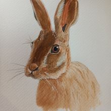My project for course: Experimental Watercolor Techniques for Beginners. Traditional illustration, Fine Arts, Watercolor Painting, and Naturalistic Illustration project by jutta_atkinson - 08.25.2023