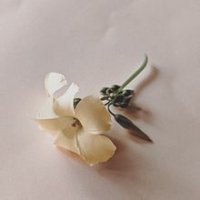 Mi proyecto del curso: Creación y edición de contenido para Instagram Stories. Een project van Social media, Mobiele fotografie, Digitale marketing, Digitale fotografie, Mobiele marketing, Instagram,  Contentmarketing, Fotografie voor Instagram, Marketing voor Instagram, Lifest y le fotografie van Marina Costales - 24.08.2023