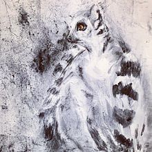 My project for course: Animal Illustration with Charcoal and Ink. Un projet de Beaux Arts, Dessin, Illustration à l'encre et Illustration naturaliste de Nelvia McGrath - 25.08.2023