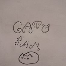 gato pam. Un proyecto de Ilustración tradicional de Sofia Miau - 26.08.2023