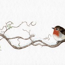 Mon projet du cours : Illustration naturaliste : aquarelle en positif et négatif. Traditional illustration, Fine Arts, Painting, Drawing, Watercolor Painting, Botanical Illustration, and Naturalistic Illustration project by Claire Poyet - 08.26.2023