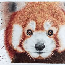 Wild. Traditional illustration, Watercolor Painting, Drawing, Portrait Drawing, and Realistic Drawing project by Mayarí Mazariegos De León - 08.26.2023
