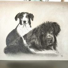 Emy e Margot. Traditional illustration, Drawing, Pencil Drawing, Portrait Drawing, Realistic Drawing, and Artistic Drawing project by Barbara Baiano - 08.27.2023