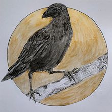 My project for course: Realistic Illustration of Birds with Imaginative Elements. Pencil Drawing, Drawing, Ink Illustration, and Naturalistic Illustration project by Evie Wheeler - 08.27.2023