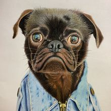 Mi proyecto del curso: Retratos de Mascotas en Lápices de Colores. Traditional illustration, and Naturalistic Illustration project by Aura Aura - 08.28.2023