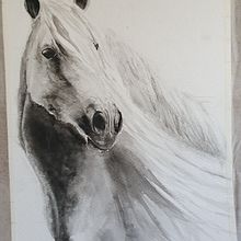 Horse in monotone. Un progetto di Pittura ad acquerello di allycarr66 - 29.08.2023