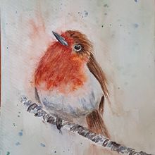 Robin. Un progetto di Pittura ad acquerello di allycarr66 - 29.08.2023