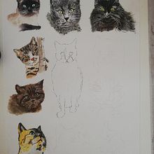 Mon projet du cours : Représentation de la nature à l'aquarelle et au stylo. Projekt z dziedziny Trad, c, jna ilustracja,  Sztuki piękne,  Malarstwo,  R, sunek, R, sunek botaniczn i Malowanie akwarelą użytkownika Antoinette Posocco - 28.08.2023