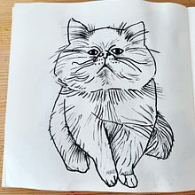 Mein Abschlussprojekt für den Kurs: Tägliches Sketching für kreative Inspiration. Projekt z dziedziny Trad, c, jna ilustracja, Sketching, Kreat, wność,  R, sunek i Sketchbook użytkownika Stella - 30.08.2023
