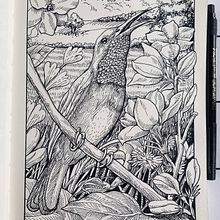 My project for course: Dip Pen and Ink Illustration: Capturing The Natural World. Esboçado, Desenho, Desenho artístico, Sketchbook, Ilustração com tinta e Ilustração naturalista projeto de Ronnie Saulon - 31.08.2023