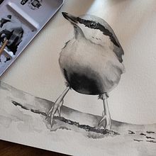 Mi proyecto del curso: Acuarela artística para ilustración de aves. Un progetto di Illustrazione tradizionale, Pittura ad acquerello, Disegno realistico e Illustrazione naturalistica di José Sosa - 10.09.2023