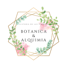 Mi proyecto del curso: Botánica & Alquimia. Un proyecto de Redes Sociales, Marketing Digital, Mobile marketing y Marketing para Facebook de Miriam Colomo Gil - 31.08.2023