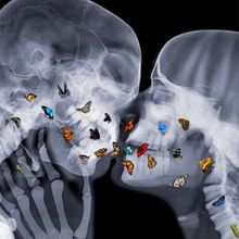 . : .. Projekt z dziedziny  Kolaż użytkownika Ju Fioroto - 01.09.2023