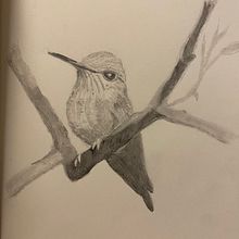 Meu projeto do curso: Técnicas de ilustração artística com grafite. Traditional illustration, Fine Arts, Pencil Drawing, Drawing, Artistic Drawing, and Editorial Illustration project by Ana V_ - 09.01.2023