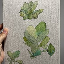 Apprendre l'aquarelle. Painting, Creativit, and Watercolor Painting project by Maëlle Allegrini - 09.02.2023