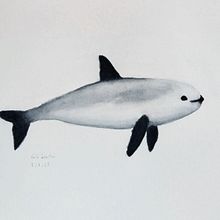 Mi proyecto del curso: Técnicas de ilustración naturalista: ballenas en acuarela. Fine Arts, Painting, Watercolor Painting, and Naturalistic Illustration project by Carlo Sebastián - 09.02.2023
