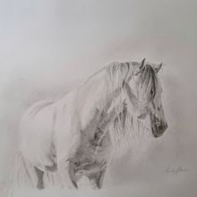 Ritratto a grafite di un cavallo. Traditional illustration, Fine Arts, Pencil Drawing, Drawing, Portrait Drawing, Realistic Drawing, and Naturalistic Illustration project by Barbara Baiano - 09.03.2023