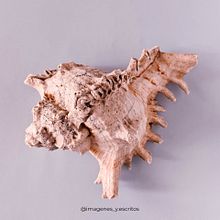 Mi proyecto del curso: Fotografía profesional para Instagram. Een project van  Reclame, Fotografie, Marketing, Social media, Mobiele fotografie, Productfotografie, Mobiele marketing, Instagram, Fotografie voor Instagram, Lifest y le fotografie van Marina Costales - 27.08.2023