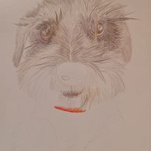 Mia en proceso. Projekt z dziedziny Trad, c, jna ilustracja, Ilustracja naturalist i czna użytkownika CRISTIAN ALVAREZ - 04.09.2023