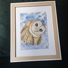 Barnowl small . % Angelique Termeer tarafından hazırlanan Sulubo, Ve a Resim projesi - 09.04.2023