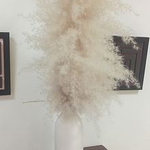 Milk bottle vase  Ein Projekt aus dem Bereich Keramik von Sajedah Zainel - 05.09.2023