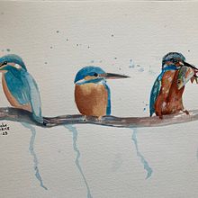My project for course: Artistic Watercolor Techniques for Illustrating Birds. Traditional illustration, Watercolor Painting, Realistic Drawing, and Naturalistic Illustration project by phoebe.carroll161 - 09.06.2023