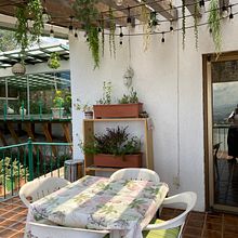 Mi proyecto del curso: Estilismo y decoración del hogar con plantas. Design interativo, Decoração de interiores, Interiores, DIY, Design floral e vegetal, e Design de espaços projeto de diplomado_carmen - 06.09.2023
