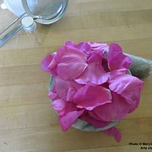 Mon projet du cours : Création d'aquarelles liquides à base de pigments végétaux. Arts, Crafts, Fine Arts, Painting, Watercolor Painting, DIY, and Color Theor project by marylenefaucher - 08.29.2023