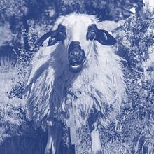 Petra Mora LAbadía. Un proyecto de Fotografía, Cine, vídeo, televisión y Fotografía de producto de White Dog Studio - 07.09.2023