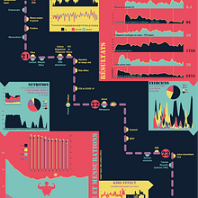 Remise en forme d'une personne orthorexique Ein Projekt aus dem Bereich Infografik von Isabel Cayer - 07.09.2023