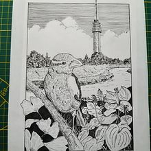 My project for course: Dip Pen and Ink Illustration: Capturing The Natural World. Sketching, Drawing, Artistic Drawing, Sketchbook, Ink Illustration, and Naturalistic Illustration project by Ton Claessen - 09.08.2023