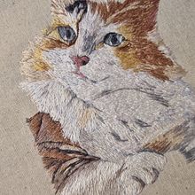 Mi proyecto del curso: Retratos de mascotas: técnicas para bordar pelaje Ein Projekt aus dem Bereich H, werk, Stickerei und Textildesign von ximena_diaz_abogada - 09.09.2023