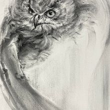 My project for course: Expressive Drawing with Charcoal. Projekt z dziedziny  Sztuki piękne,  R, sunek, Portret, Ilustracja naturalist i czna użytkownika Joanne Xu - 09.09.2023