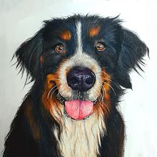 Mein Abschlussprojekt für den Kurs: Haustierporträts mit Buntstiften. Projekt z dziedziny Trad, c, jna ilustracja, Ilustracja naturalist i czna użytkownika Bettina D - 10.09.2023