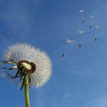 Mi nombre. Un progetto di Scrittura di Dinora Landivar - 09.09.2023