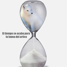 FOTOMONTAJES. Photomontage project by Ane Maiz - 09.11.2023