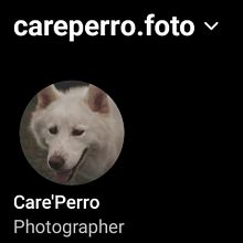 Mi proyecto del curso: Fotografía lifestyle de perros. Un proyecto de Fotografía, Fotografía de retrato, Fotografía para Instagram, Fotografía documental, Fotografía Lifest y le de Fernando Díaz - 10.09.2023