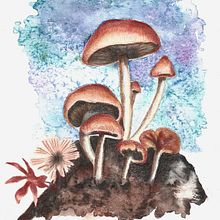 Niños Santos. Traditional illustration, Fine Arts, Painting, and Watercolor Painting project by Rafael Kosoniscs - 08.10.2023