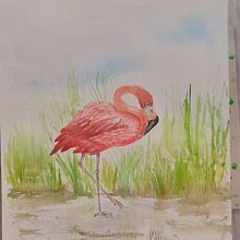 Mi proyecto del curso: Ilustración naturalista de aves con acuarela. Un proyecto de Ilustración tradicional, Dibujo realista e Ilustración naturalista				 de Mane - 11.09.2023