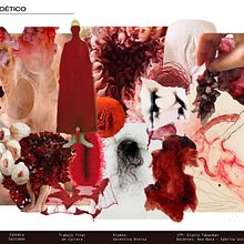 MONSTRUA . Costume Design, Design, Photograph, Editorial Design, Fashion Design, Fashion Photograph, and Textile Design project by Valentina Bielsa - 09.12.2023