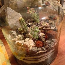 Mi proyecto del curso: Arte vegetal: crea tu propio terrario abierto. Un projet de Design d'intérieur, Pa, sagisme, Décoration, DIY , et Art floral et végétal de Adolfo Pérez López - 11.09.2023