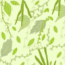 CISY, ¡BASTA! Ein Projekt aus dem Bereich Schrift, Stor, telling, Kinderillustration, Kreativität mit Kindern, Erzählung, Literarisches schreiben, Kreatives Schreiben, Kinder- und Jugendliteratur, Design, Traditionelle Illustration und Animation von Florencia Moneta - 12.09.2023