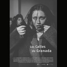 Montador Las Calles de Granada. Un proyecto de Edición de vídeo, Cine, vídeo, televisión y Cine de Álvaro Gutiérrez Flórez - 06.01.2023