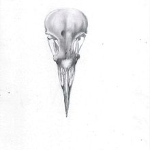 My project for course: Intro to Anatomy Drawing with Graphite Pencil. Un proyecto de Bellas Artes, Dibujo a lápiz, Dibujo, Dibujo realista y Dibujo anatómico de Ingrid Wolf-Hattinger - 12.09.2023