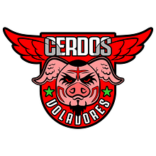 Cerdos Voladores - Logo. Design de logotipo projeto de Fernando Arocena - 02.09.2023