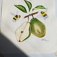 My project for course: Realistic Botanical Illustration: Escape to Nature. Projekt z dziedziny  Malarstwo, Malowanie akwarelą, R, sunek botaniczn, Ilustracja naturalist i czna użytkownika marigeno22 - 13.09.2023